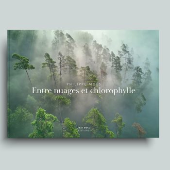 Entre nuages et chlorophylle